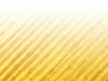 智能農(nóng)機(jī)、“訂單”服務(wù)、“云端”種菜——來自江西的春耕“新事”